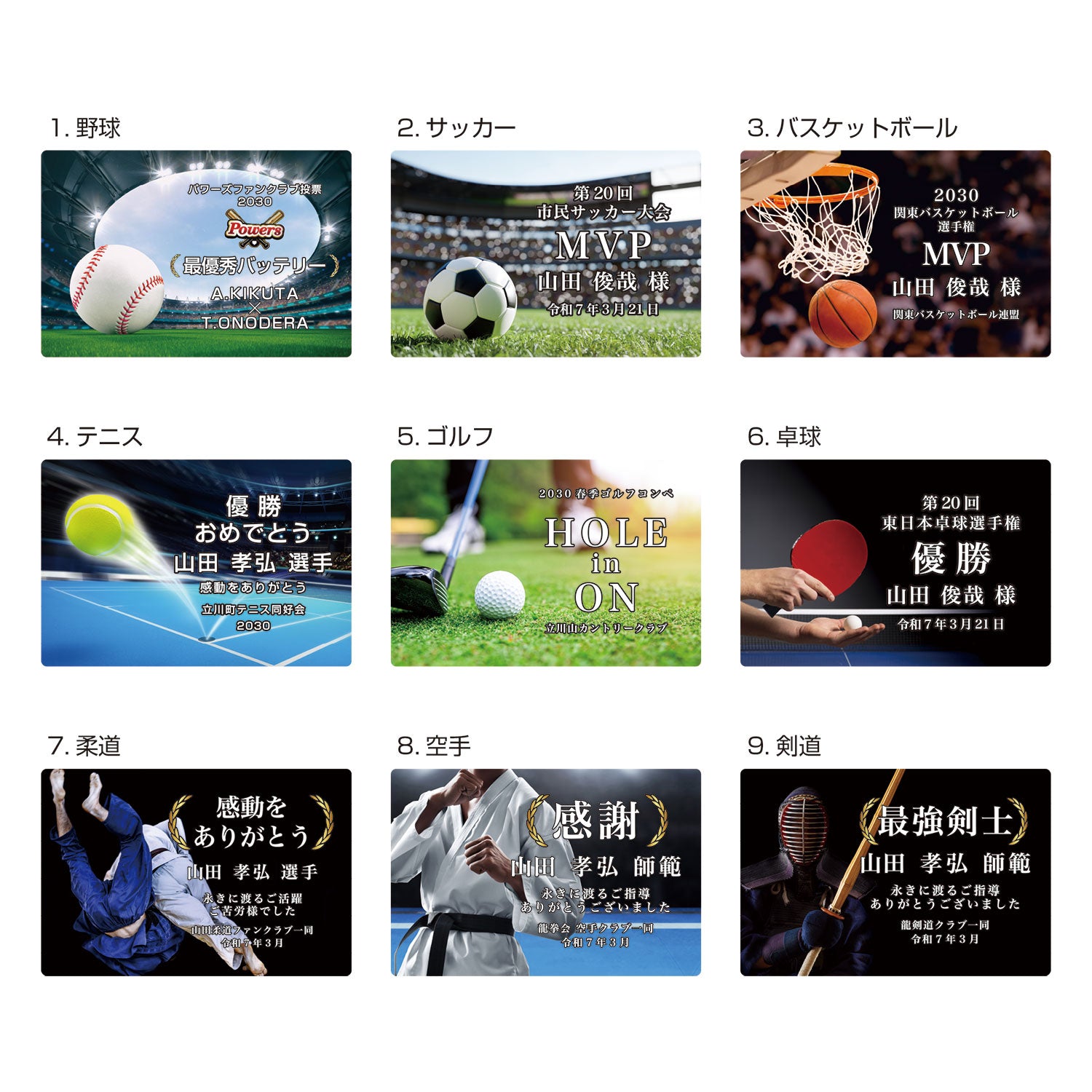 スポーツパレット SK-AL-009-sports