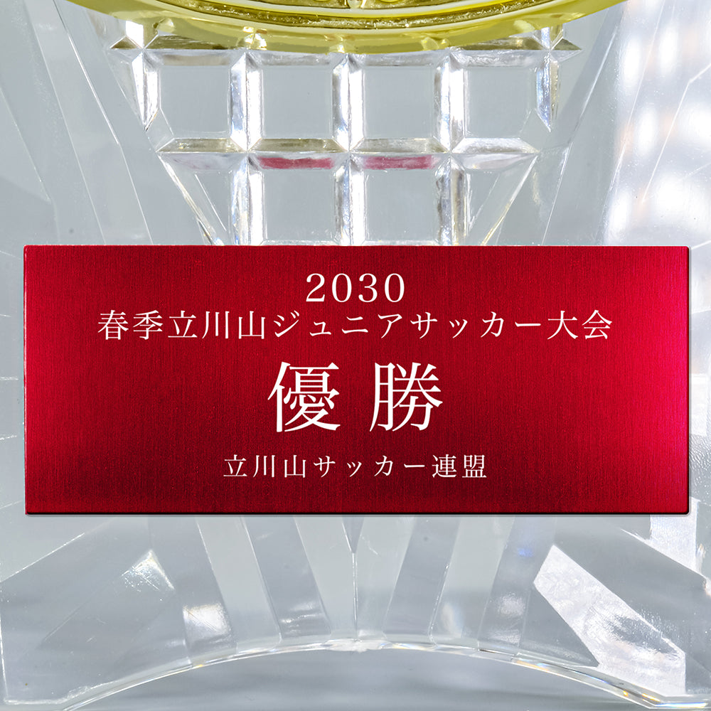 エールアワード AL-707 ☆デザイン確認なし