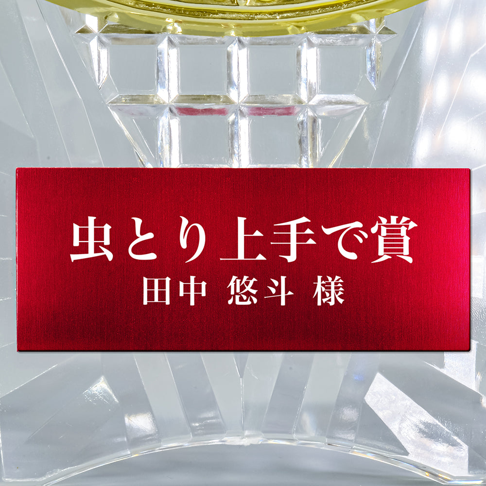 メモリアルアワード AL-707-memorial ★デザイン確認あり
