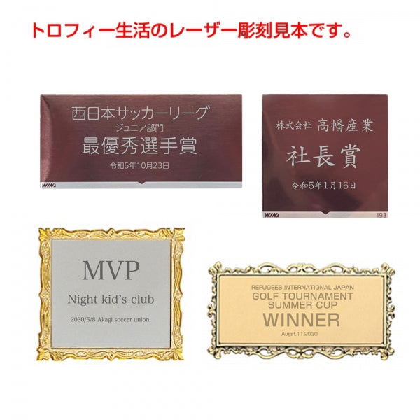 リバプール 記念ボックス トロフィー付き4点セット 新品未使用 テスティモニアルプラークス クリスタルトロフィー【虹】72PJ301
